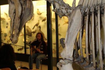 Bell Pettigrew Sessions