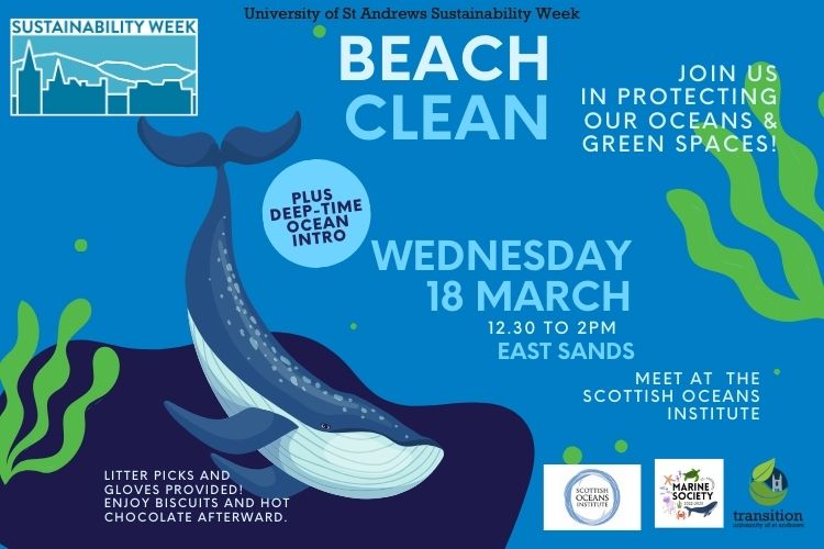 Beach clean at East Sands