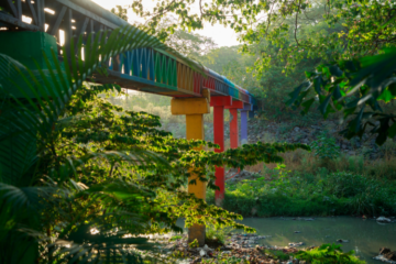 St Andrews Prize for the Environment --- Announcement of 2025-2026 Winner