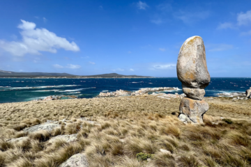 Palaeoecology of a Pleistocene Land-Bridge