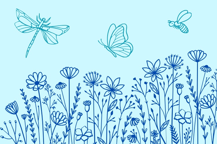 Get involved with the Biodiversity Working Group
